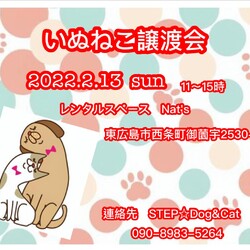東広島 いぬねこ譲渡会