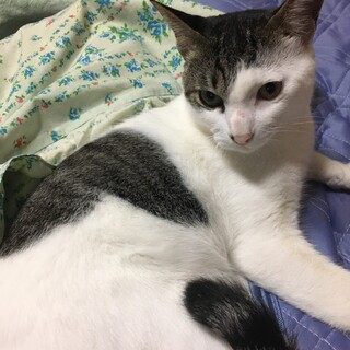 甘えん坊くん⭐︎