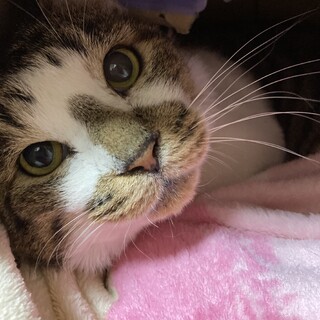 イケメン☆いいちこさん