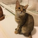 太白45！おかき♀