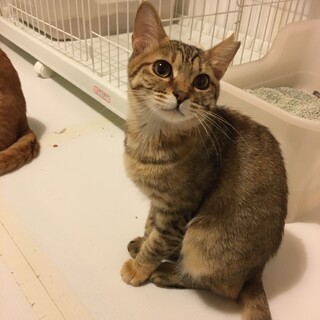 太白45！おかき♀