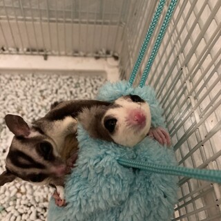 応募して下さりありがとうございました！