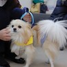 元気いっぱいでナデナデ大好き♡はじめくん サムネイル3