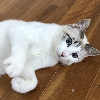 停止中です