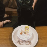 ギョーザ