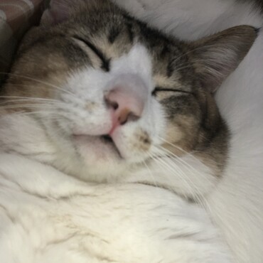 の写真