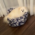一旦、停止します