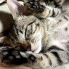 うちに来て3週間ぐらいの時