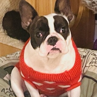 ★再エントリー21-W761　