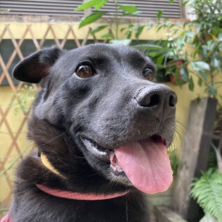 「こいと」女の子