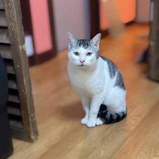 おにぎりフェイス！人懐っこいまーちゃん♡