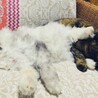 の写真