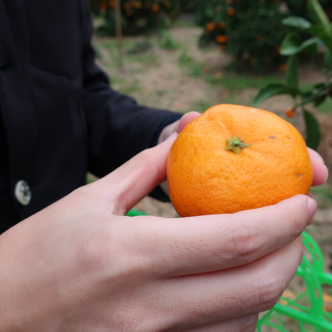 ぬまにーのカバー写真