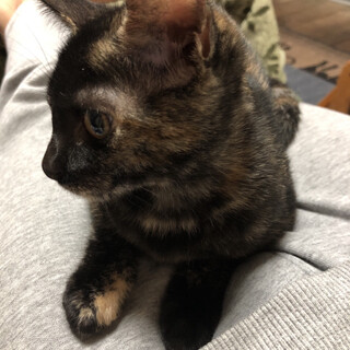 5ヶ月さびちゃん