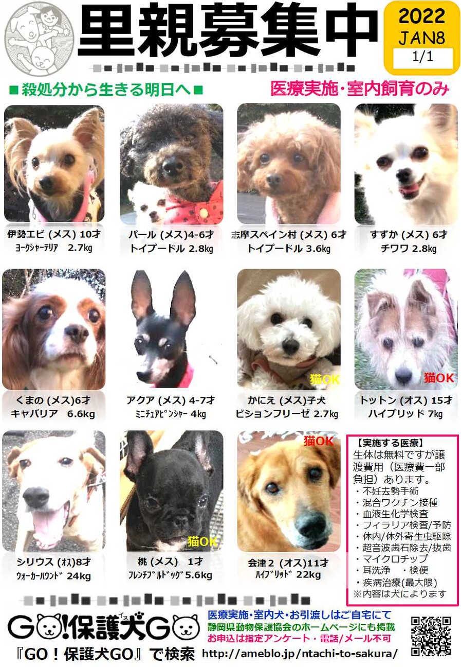 【保護犬GO】まろいちセット 静岡☆GO！保護犬GO☆」（GO！保護犬GOのイベント #10259
