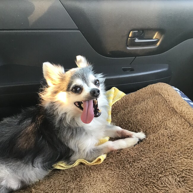 心&空のカバー写真