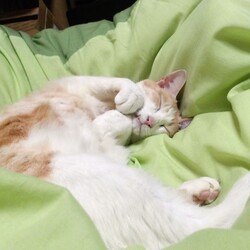 もう半年、完全に慣れてくれました。