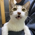 特技はジャンピング抱っこ❤️あきくん