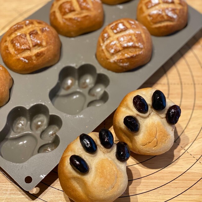 にゃじまのカバー写真