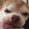 ラボン