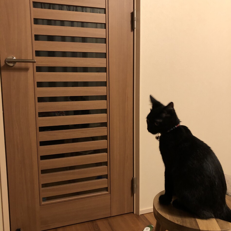 ネロのカバー写真