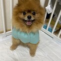 ニッコリ笑顔の小冬ちゃん♡