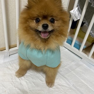 ニッコリ笑顔の小冬ちゃん♡