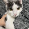 生まれた時から一緒の8ヶ月 サムネイル1