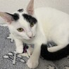 生まれた時から一緒の8ヶ月 サムネイル2