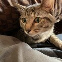 ★パワフルな甘えん坊★