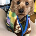 幸せにしてくださる方！