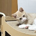 とても好奇心旺盛で元気な男の子です。