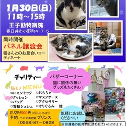 パネル譲渡会&バザー