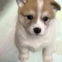 里親さま決まりました☆