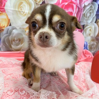 幸せみつかりました！