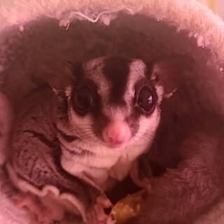 29日以降に引渡し可能です。