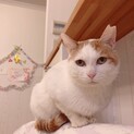 穏やかで甘えん坊の男の子❣️