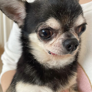 小柄な小次郎くん♪