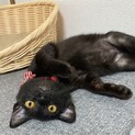 甘えん坊のかまってちゃん❤️