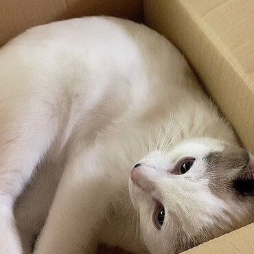 の写真