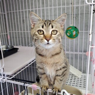 人馴れ抜群性格花丸の男の子です！