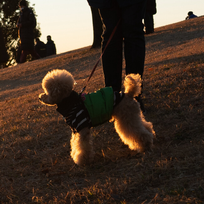 marron100%のカバー写真