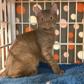 超ビビリな蓮くん♪