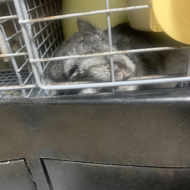 atsndのカバー写真