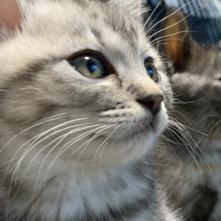 里親さんが決まりました！