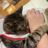 おはねず
