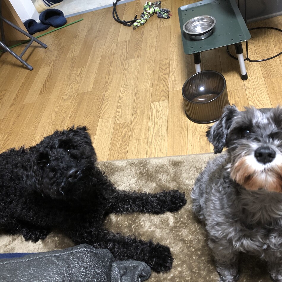かじわらレディのカバー写真