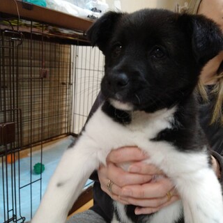 一旦募集終了します