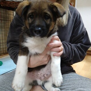 一旦募集終了します