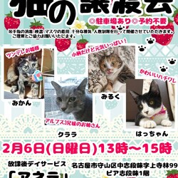 保護猫の譲渡会atアネラ　6日は中止になりました